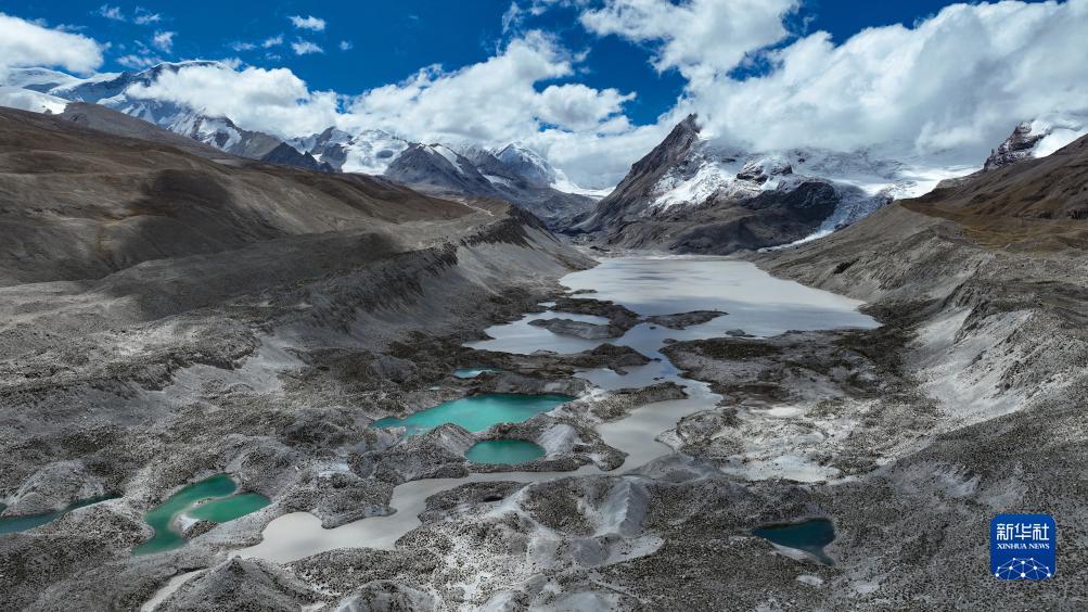 永利打鱼平台